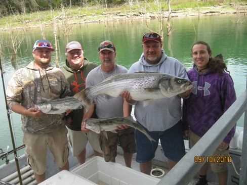 Nice Striped Bass
